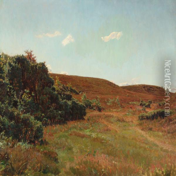 Moorlandscape With Blooming Heather Oil Painting - Georg Nicolaj Achen