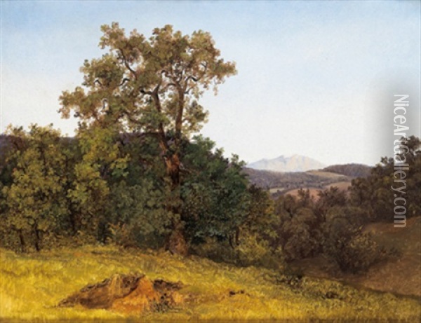 Waldlandschaft Bei Miesenbach Mit Blick Auf Den Schneeberg Oil Painting - Friedrich Gauermann