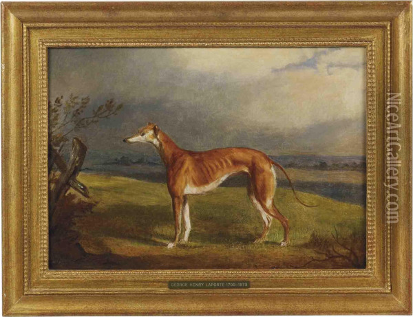 A Greyhound In A Landscape Oil Painting - George Henry Laporte