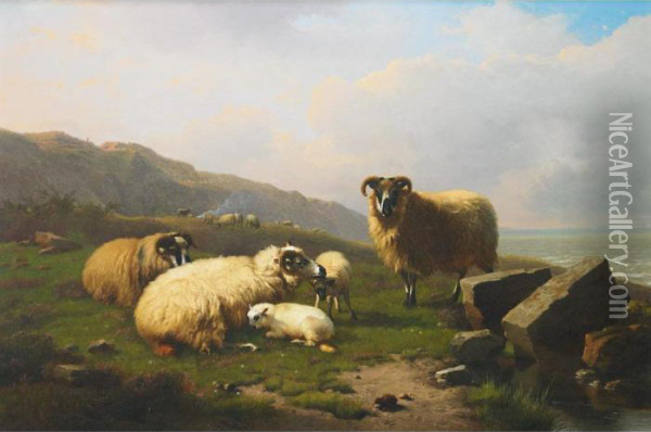 Sheep, Ewes And Lambs In A Pasture By The Sea Oil Painting - Eugene Joseph Verboeckhoven