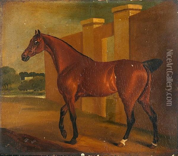 A Bay Mare Oil Painting - Edwin, Beccles Of Cooper