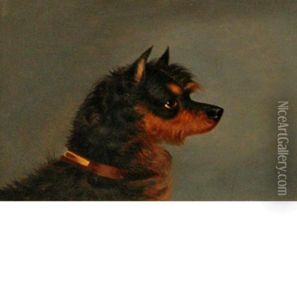 Norwich Terrier Oil Painting - Edwin Loder