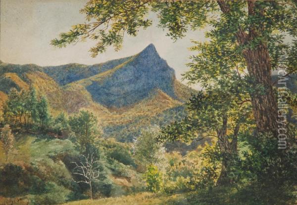 Paesaggio Boschivo Con Montagne Sullo Sfondo Oil Painting - Giuseppe Bisi