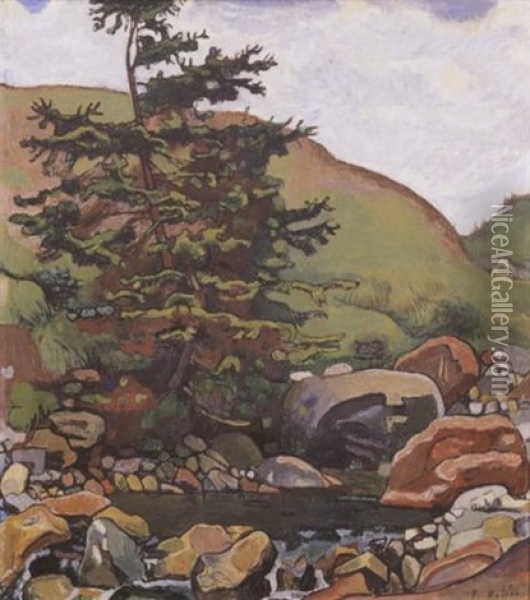 Bach Mit Baum Und Felsen Oil Painting - Ferdinand Hodler