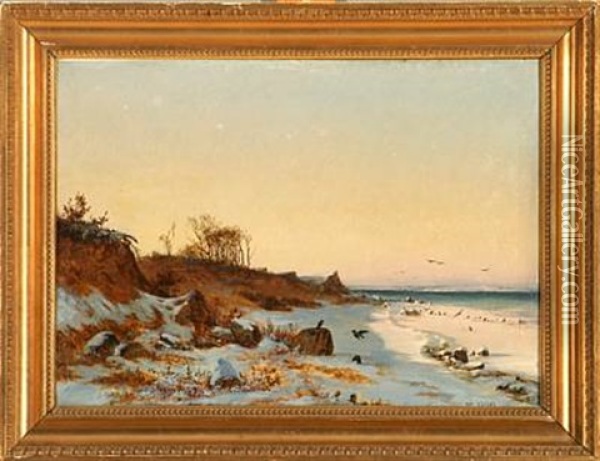 Crows On The Beach On A Sunny Winter Day Oil Painting - Frederik Niels Martin Rohde