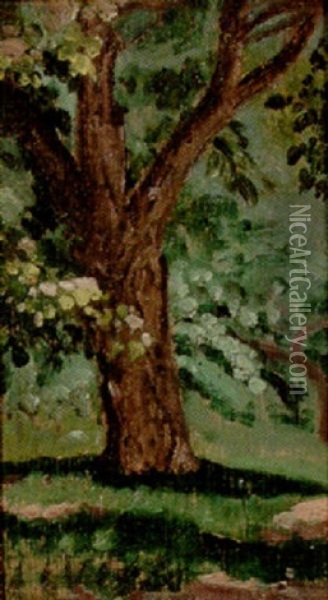 A Tree Oil Painting - Arthur B. Davies