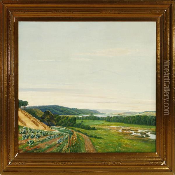 Danish Summer Landscape From The Silkeborg Lake Distritc Oil Painting - Johan Frederik Rohde