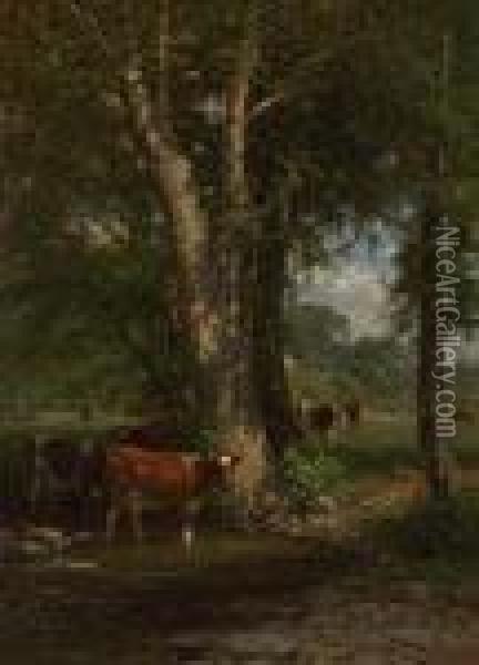 Cattle In A Stream Oil Painting - James Dougal Mac Hart