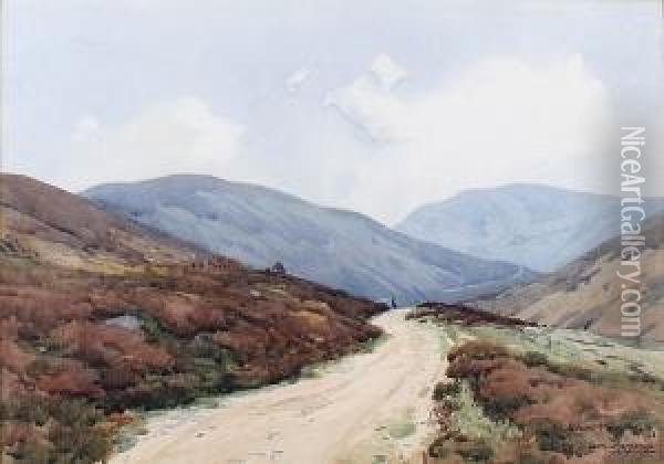 Glen Chalmadale, Isle Of Arran Oil Painting - Robert Houston
