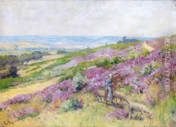Bergere Dans La Lande De Bruyere Oil Painting - Edouard Pail