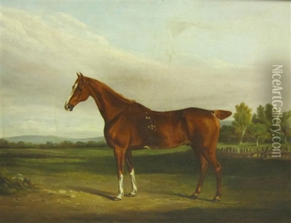 A Chestnut Hunter In A Landscape Oil Painting - William Henry Davis