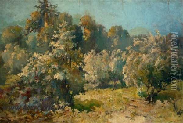 Flowering Garden Oil Painting - Stanislaw Birnbaum