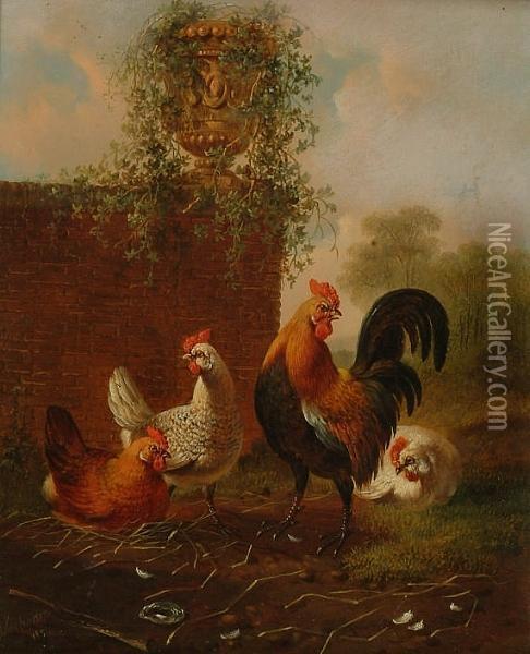 A Cock And Three Hens Beneath A Stone Urn Oil Painting - Albertus Verhoesen