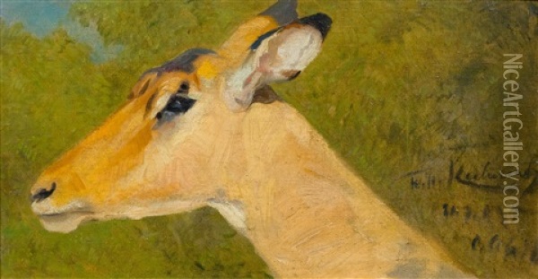 Impala Head Oil Painting - Wilhelm Friedrich Kuhnert