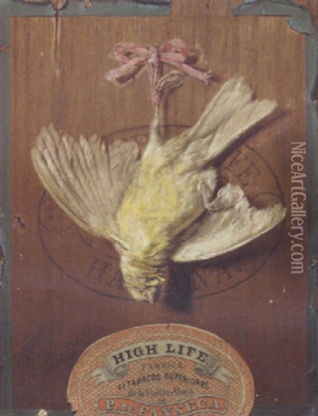 A Hanging Bird On The Lid Of A Cigar Box Oil Painting - Friedrich Heimerdinger