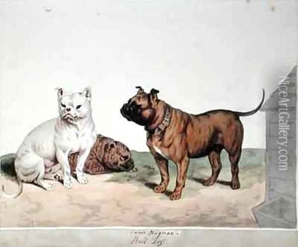 The Bull Dog Oil Painting - Sydenham Teast Edwards