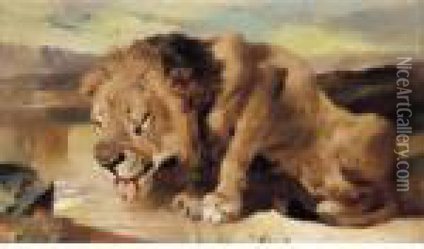 Lion Drinking At A Stream Oil Painting - Landseer, Sir Edwin