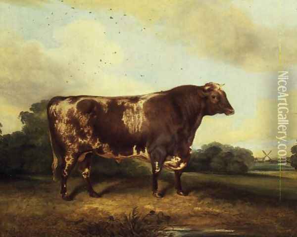 Brown and White Bull in Landscape Oil Painting - John Vine