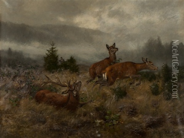 Hunter's Sport Oil Painting - Josef Schmitzberger