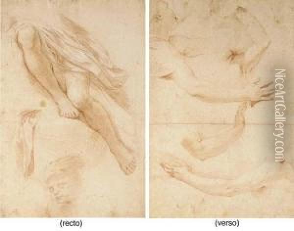 Studies Of Legs, A Drapery And 
The Head Of A Putto (recto); Studies Of Arms And A Head (verso) Oil Painting - Nicolas Mignard