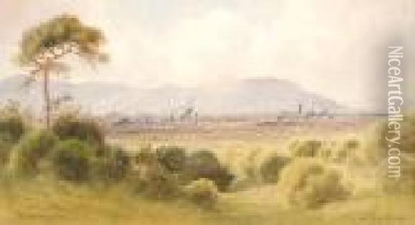 Belfast From Castlereagh Oil Painting - Joseph Carey Carey