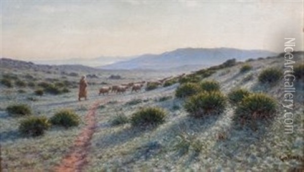 Troupeau De Moutons En Afrique Du Nord Oil Painting - Antoine Gadan