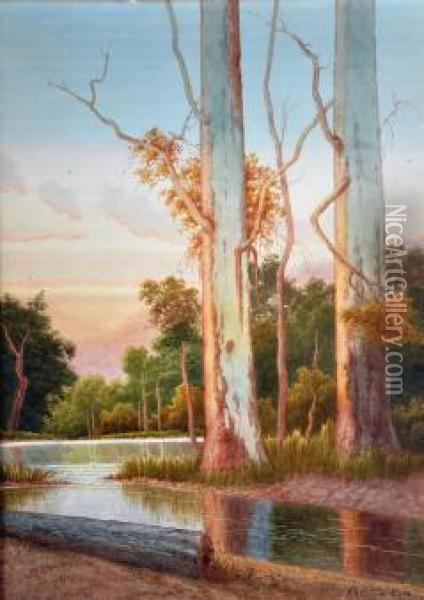 River Scene With Redgums Oil Painting - Gladstone Eyre