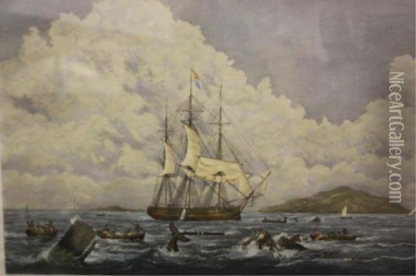 South Sea Oil Painting - William Huggins