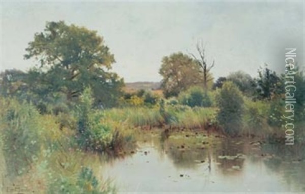 A Pool On The Medway, Kent, England Oil Painting - Ernest Parton