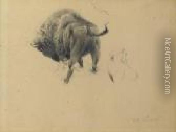 A Wisent - A Study Oil Painting - Wilhelm Kuhnert