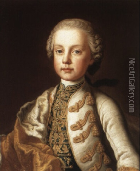 Portrait Of A Young Boy Oil Painting - Martin van Meytens the Younger