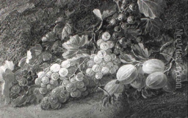 Still Life Of Currants, Strawberries And Gooseberries Oil Painting - Vincent Clare