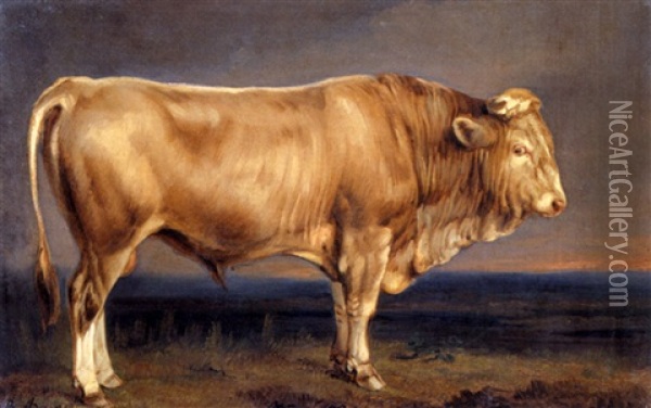 Der Stier Oil Painting - Benno Raffael Adam