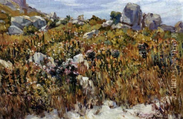 Namaqualand In Spring Oil Painting - Pieter Hugo Naude