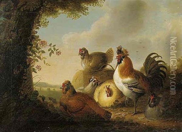 A Cockerel And Chickens In A Wooded Landscape Oil Painting - Philipp Reinagle