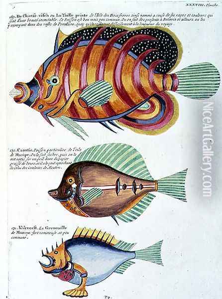 Three Fish, plate 38 from Vol 2 of Fish, Crayfish and Crabs, pub. 1754 Oil Painting - Renard, Louis