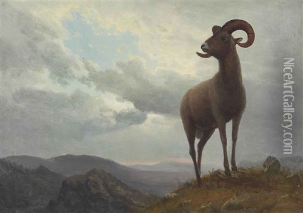 Long Horned Sheep Oil Painting - Albert Bierstadt