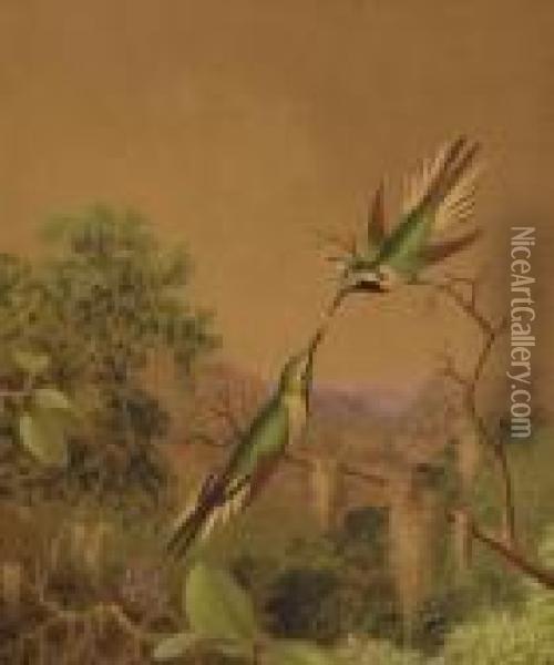 Brazlilian Hummingbirds Iv Oil Painting - Martin Johnson Heade
