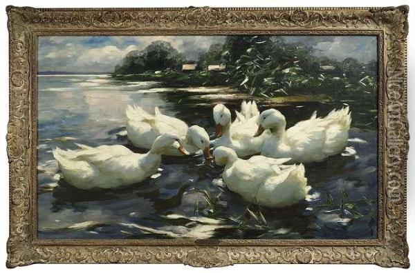Five Duckscavorting At Lakeshore Oil Painting - Alexander Kuster