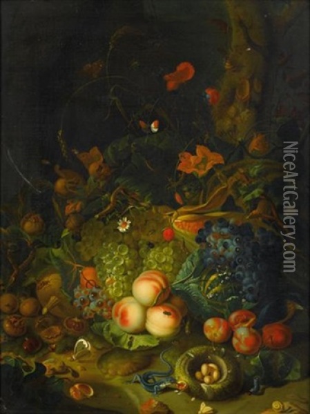 Still Life With Apples, Pears, Grapes, Corn, Pomegranates, A Bird's Nest With Eggs, Butterflies, A Lizard And Insects Oil Painting - Rachel Ruysch