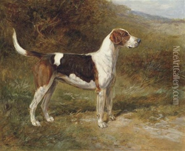 "sunshine," A Foxhound Of The Quorn Oil Painting - Heywood Hardy