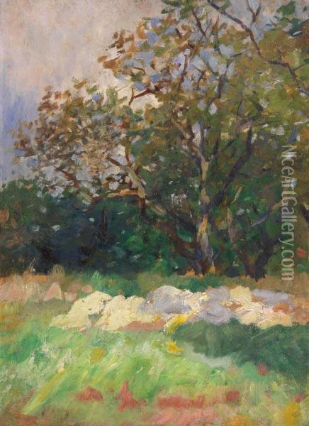 Sommerliche Wiesen-und Baumlandschaft Oil Painting - Thomas Ludwig Herbst