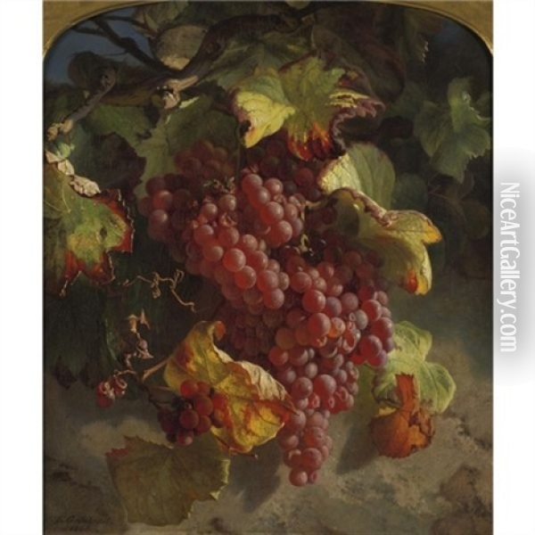 Grapes On A Vine Oil Painting - Theude Groenland