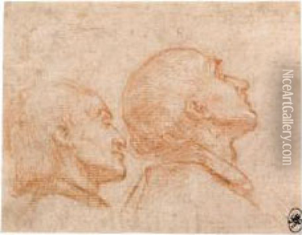 Study Of The Heads Of Two Men, In Profile To The Right Oil Painting - Bernardino Barbatelli Poccetti