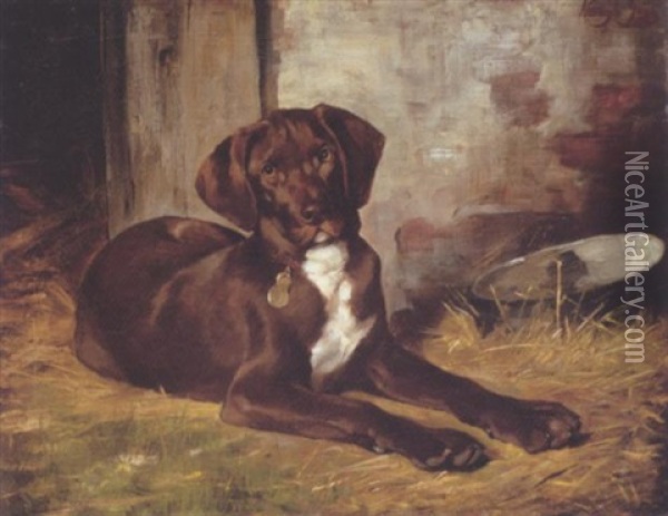 A Dog Oil Painting - Geza Vestagh