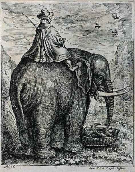 Riding an Elephant, from Elephantographia curiosa by G.C. Petri von Hartenfels, 1723 Oil Painting - Jacob Petrus