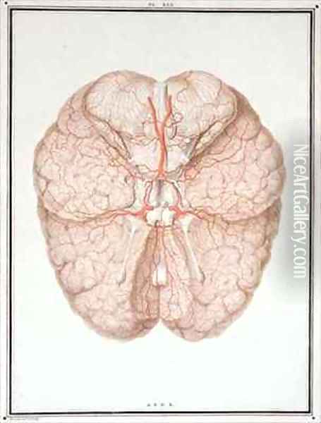 The Brain, from 'Traite d'Anatomie de Cerveau' Oil Painting - Alexandre Briceau