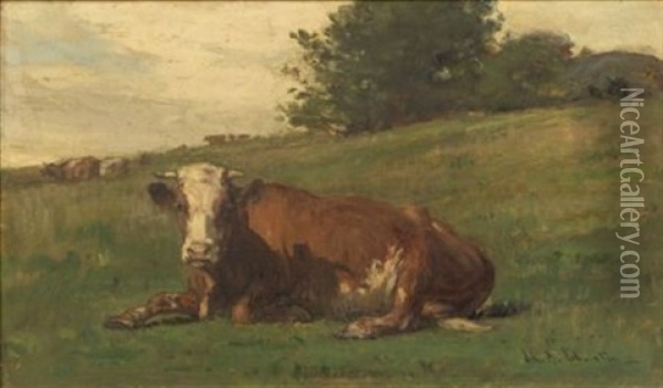 Cow Reclining Oil Painting - John Bernard Johnston