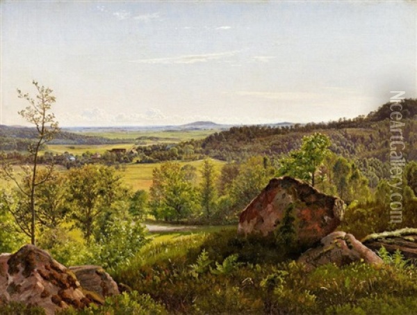 Schwedische Sommerlandschaft In Halland Oil Painting - Vilhelm Peter Karl Kyhn