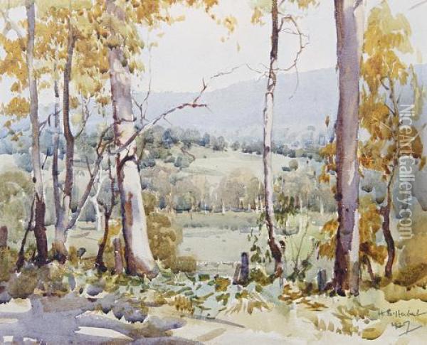 Near Marysville, Victoria, Australia Oil Painting - Harold Brocklebank Herbert